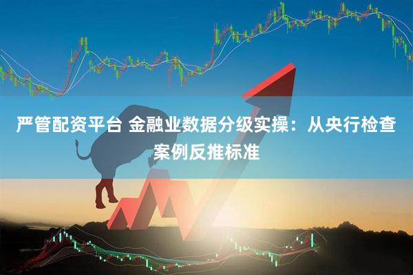 严管配资平台 金融业数据分级实操：从央行检查案例反推标准