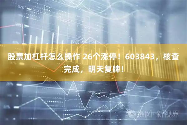 股票加杠杆怎么操作 26个涨停!603843,核查完成,明天复牌!